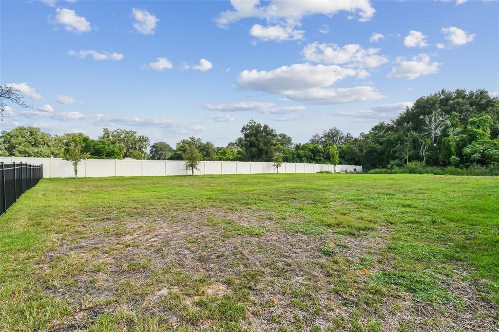 Huge back yard with plenty of room for a fire pit, swing set or garden