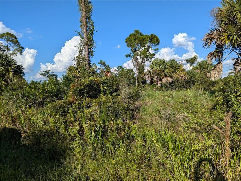 En Venta: $15,000 (0.23 acres)