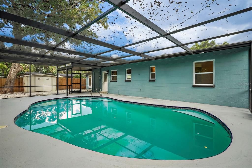 View of the pool with cage