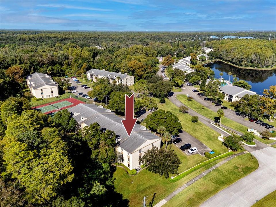 Aerial view of the area