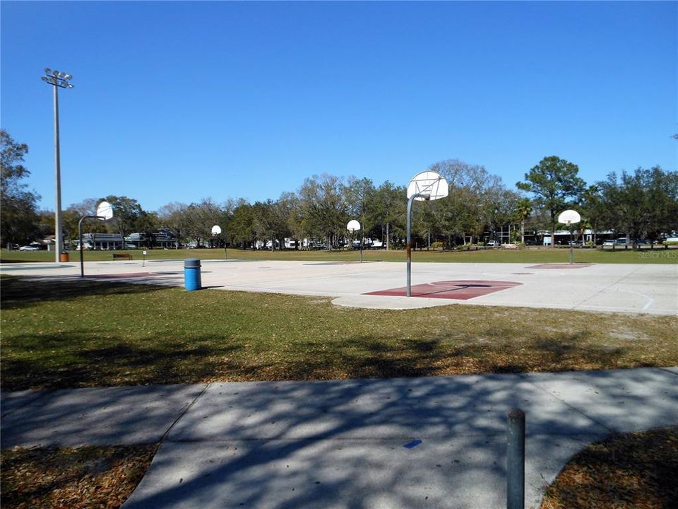 Northdale Basketball court