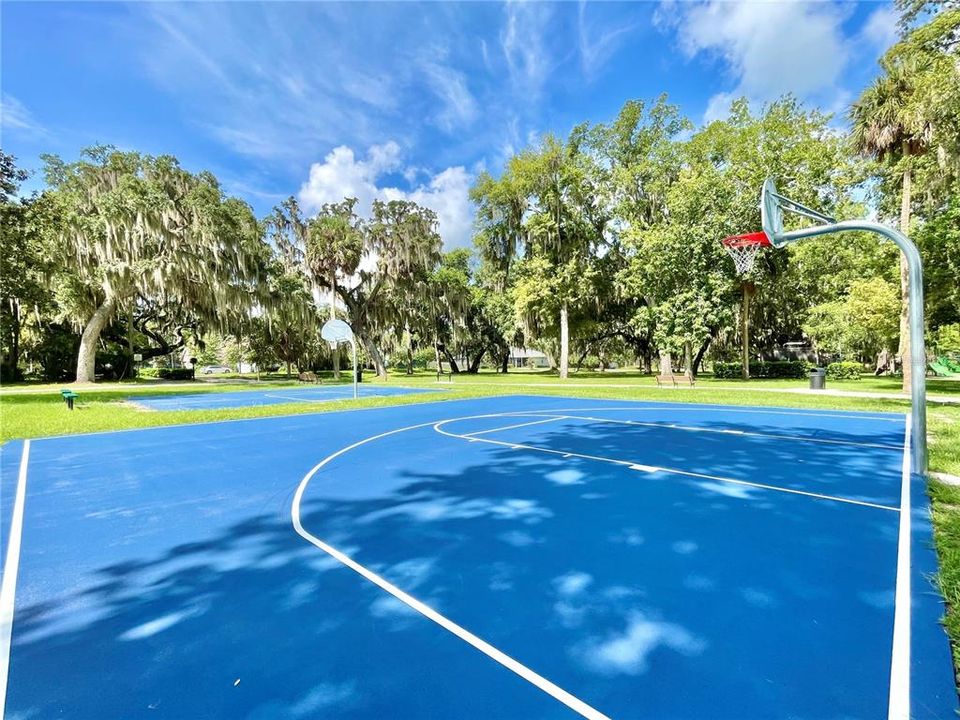 Town of Oakland Basketball Court