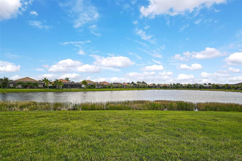 View from yard and pond.