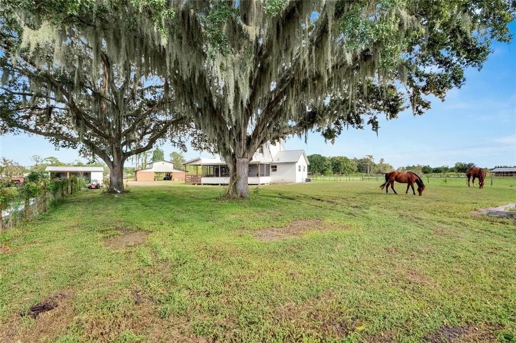 For Sale: $707,000 (3 beds, 2 baths, 1416 Square Feet)