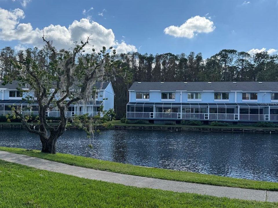 Rear View over the Lake