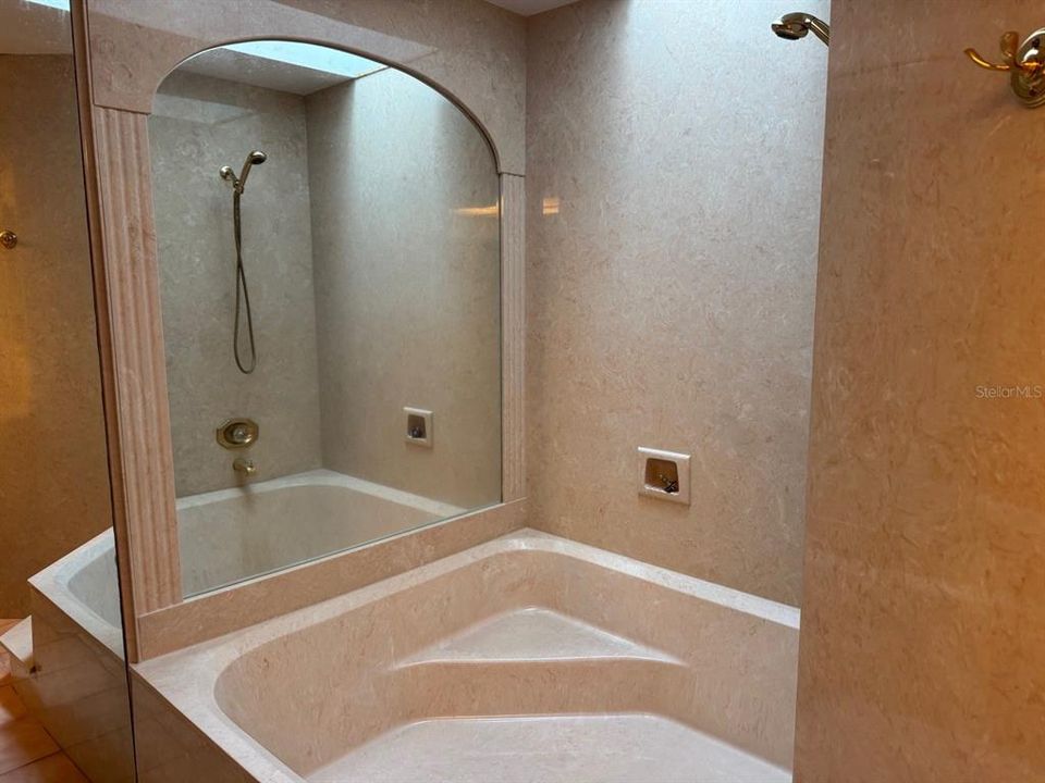 Primary soaker tub with shower and skylight