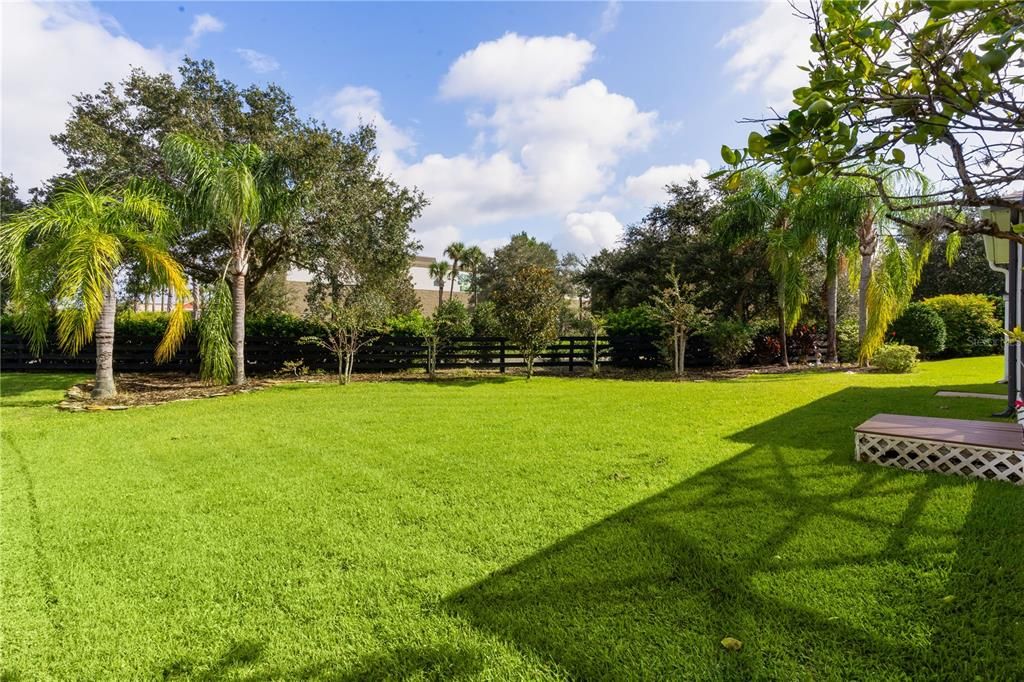 Large Backyard, Room for a Pool!