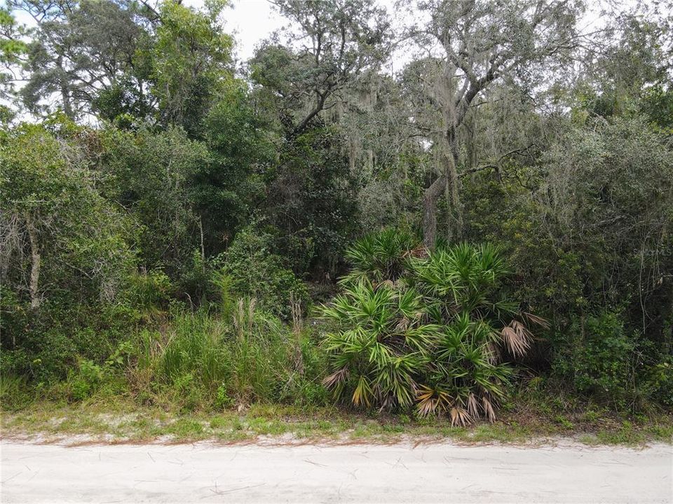 High and dry well-draining parcel with no gopher tortoises or historic trees on at least half of the property.