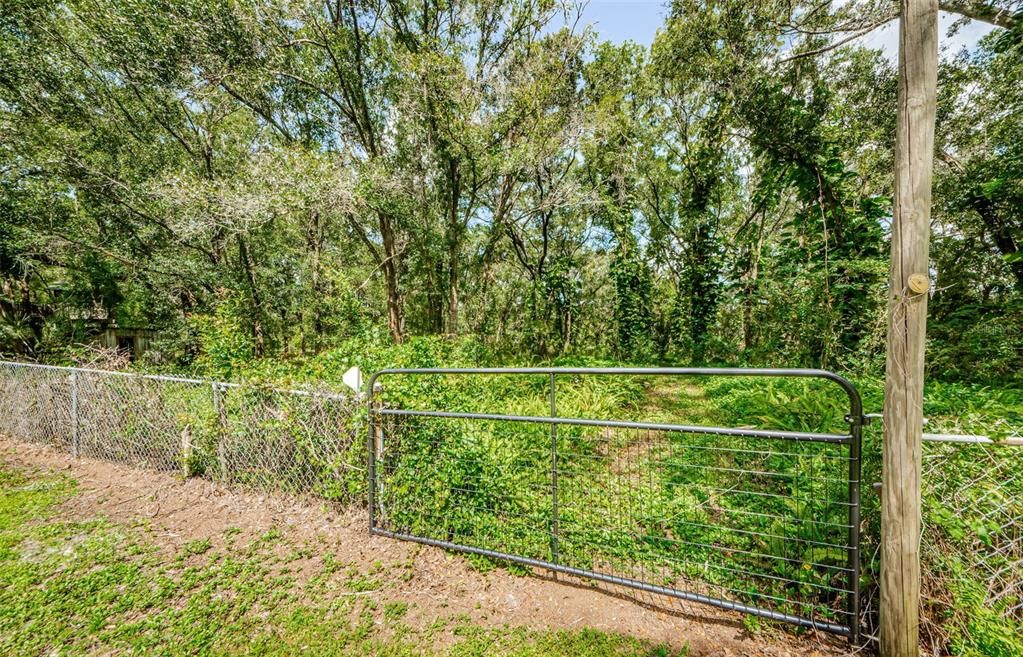 Property is mowed to this fence but the property line goes way beyond!