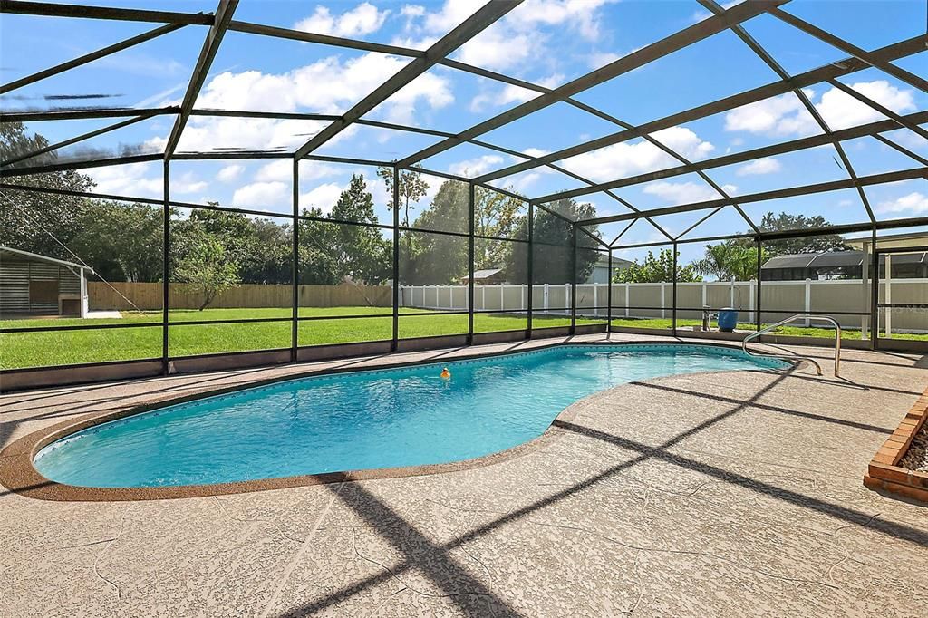 Amazing pool and yard!