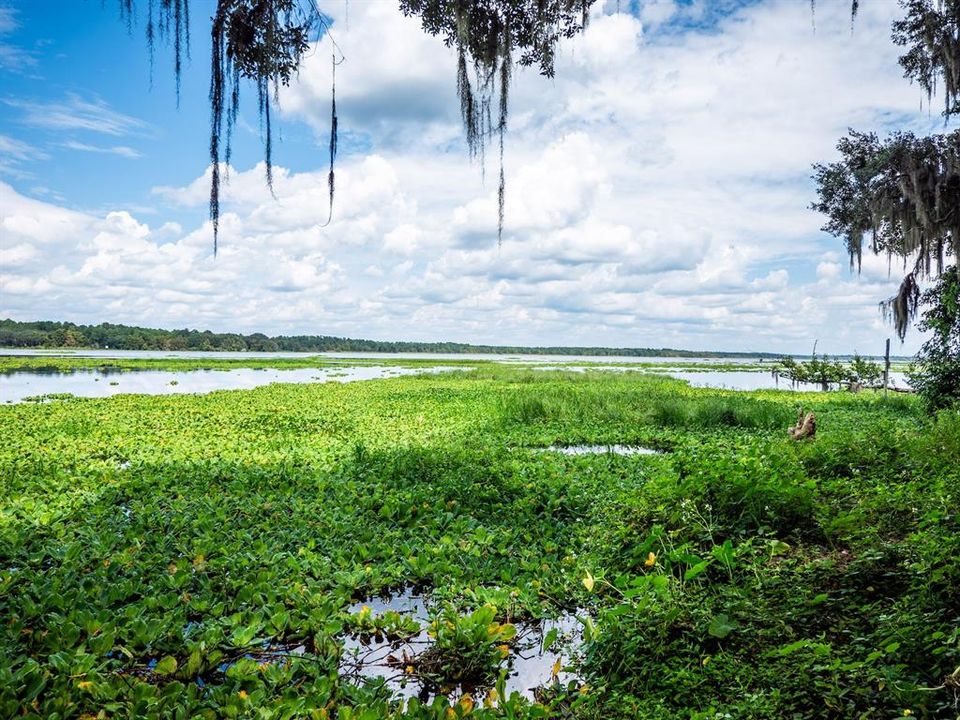 En Venta: $450,000 (4 camas, 3 baños, 3072 Pies cuadrados)