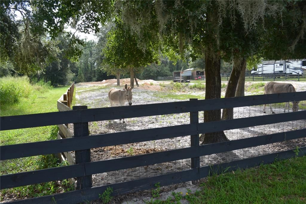 View of the neighbor property qwith land for sale to the left of the fence