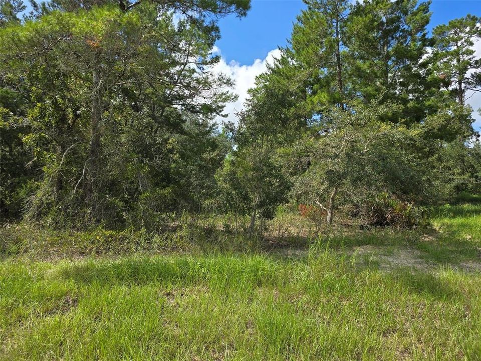 Recently Sold: $85,000 (0.83 acres)