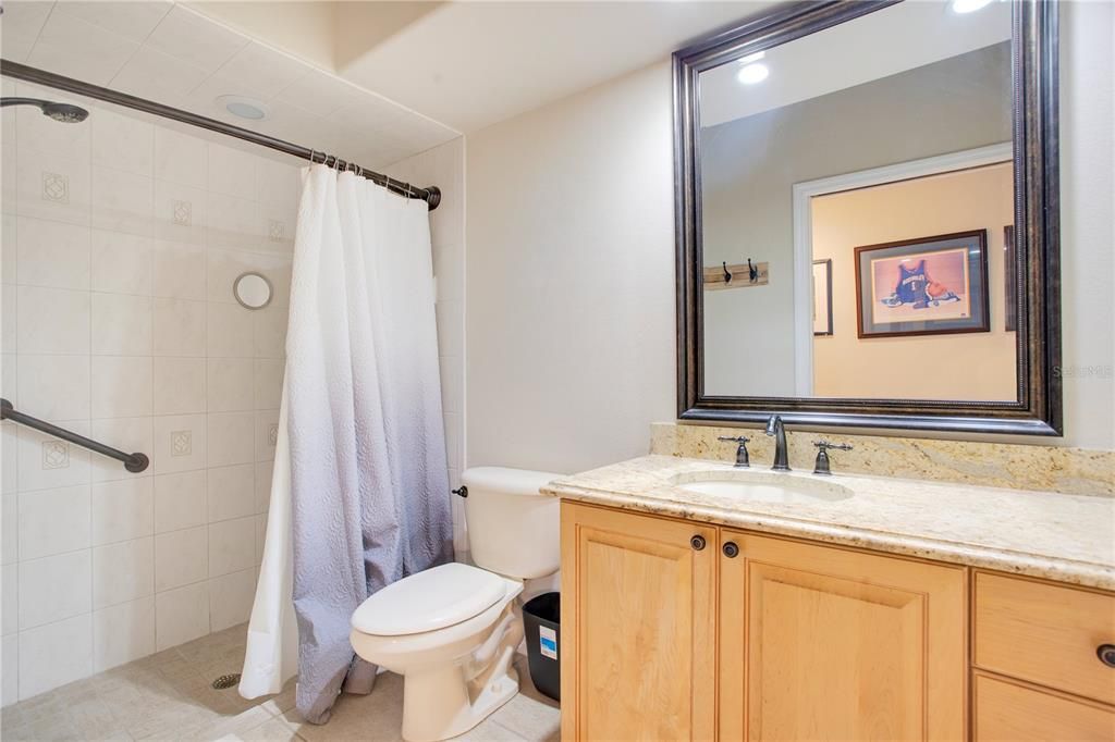 INlaw suite bathroom