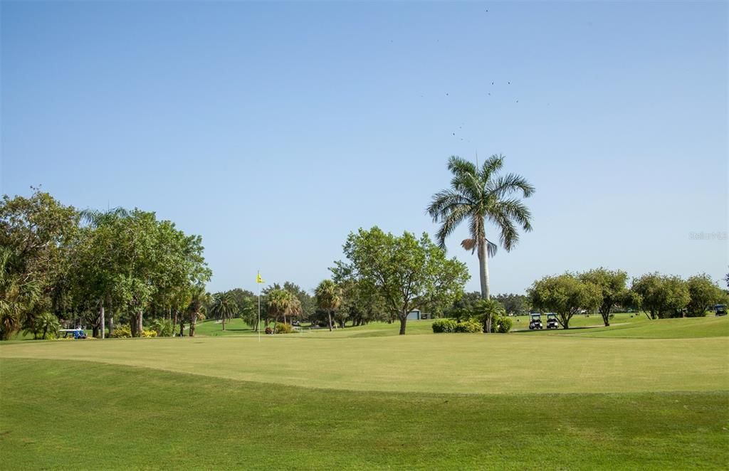 Golf course view