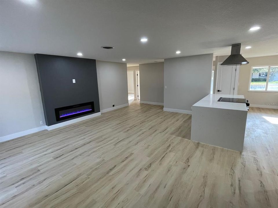 Living Room and Fireplace