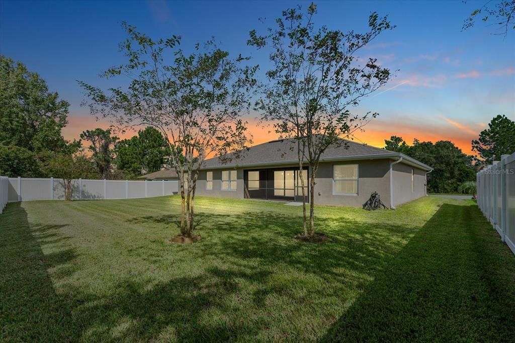 Large almost fully fenced yard (just a gate on the one side to be fully fenced)