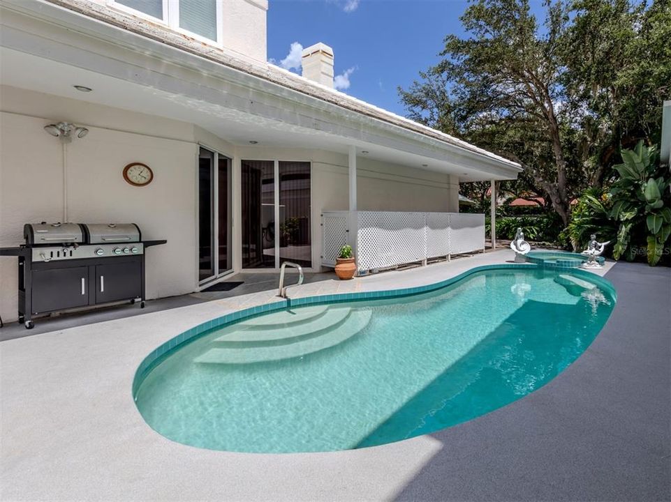 Private patio with pool, spa and grilling area.