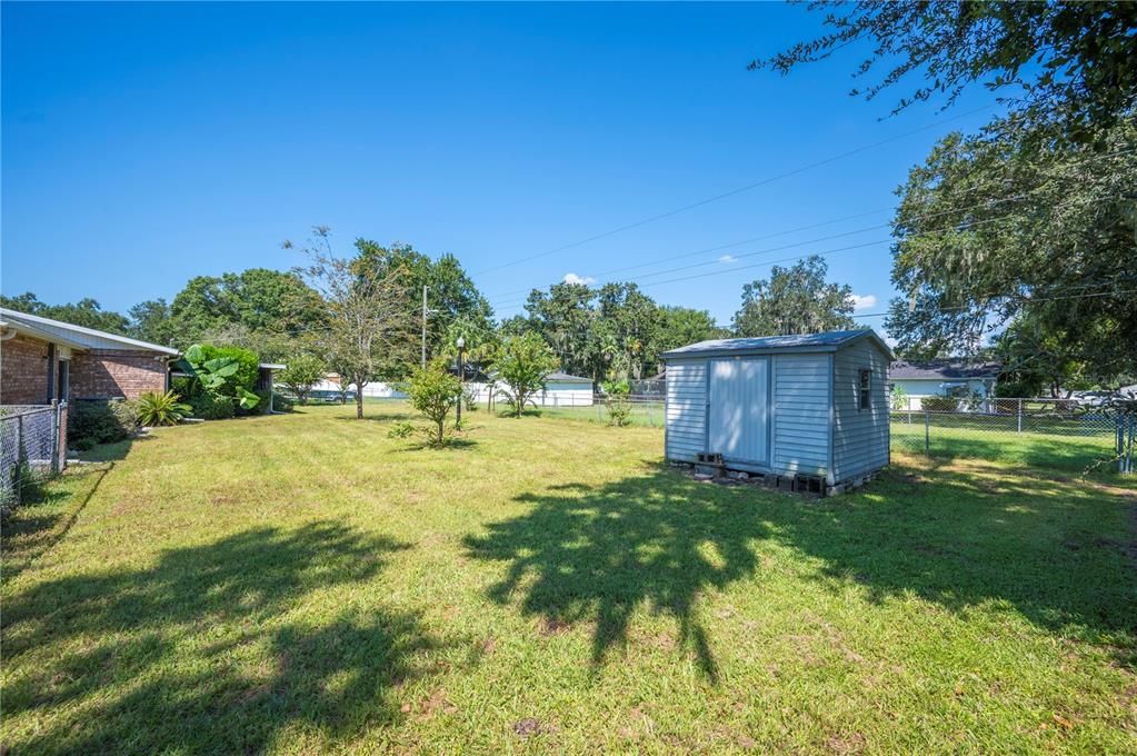 Back yard / shed