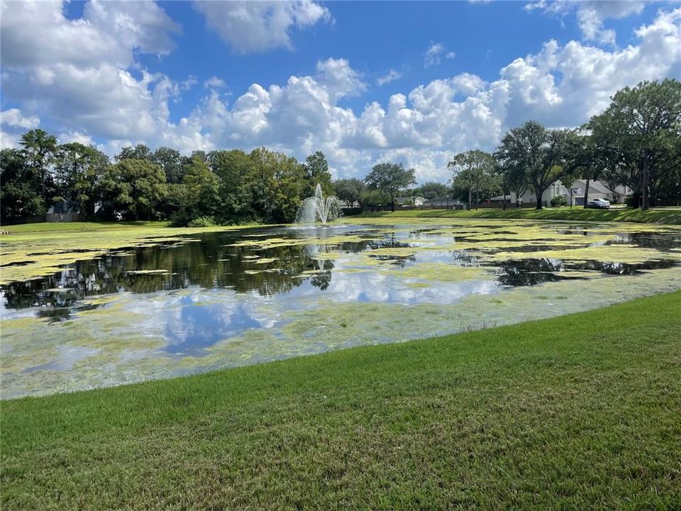 COMMUNITY POND