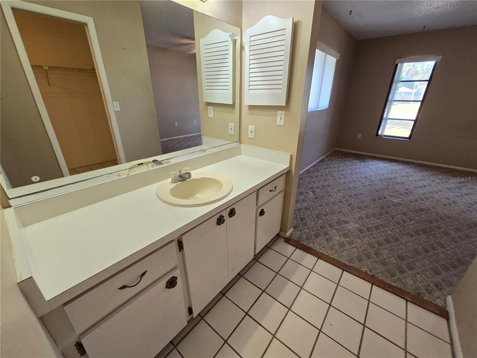 Master bathroom