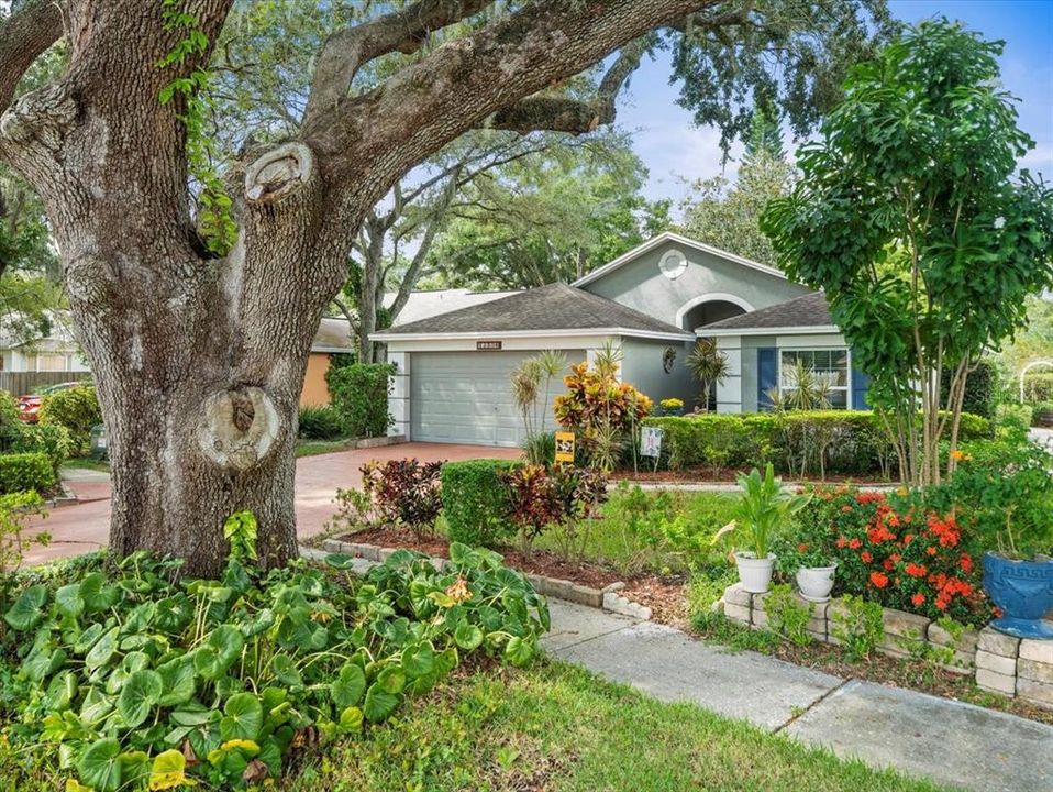 For Sale: $450,000 (3 beds, 2 baths, 1126 Square Feet)