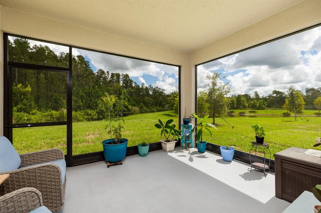 Beautiful Screened In Porch