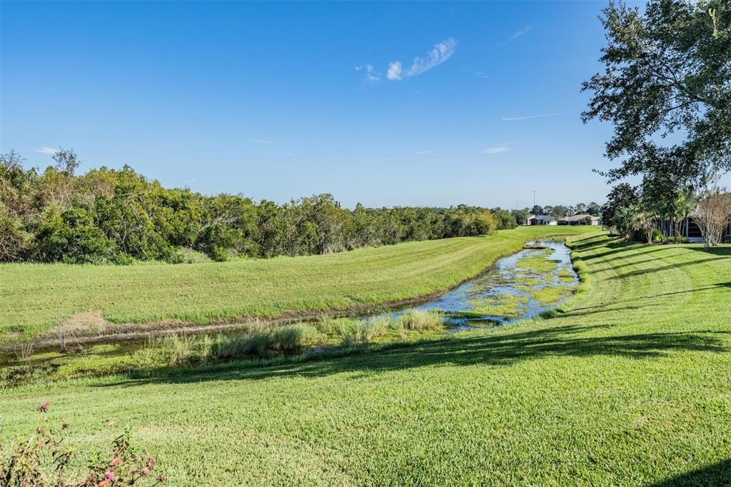 Lush Greenscape with Conservation views!