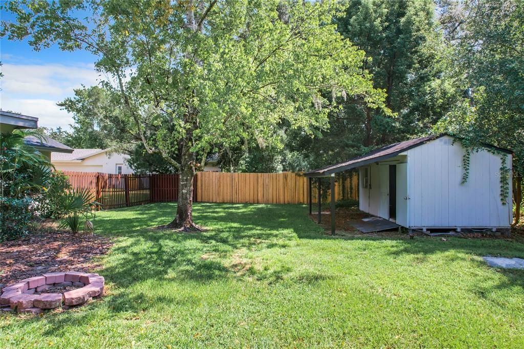 Backyard + Shed