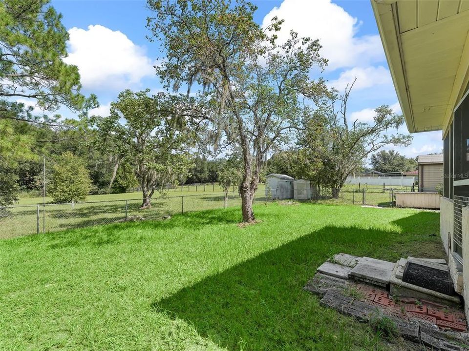 Fenced Backyard