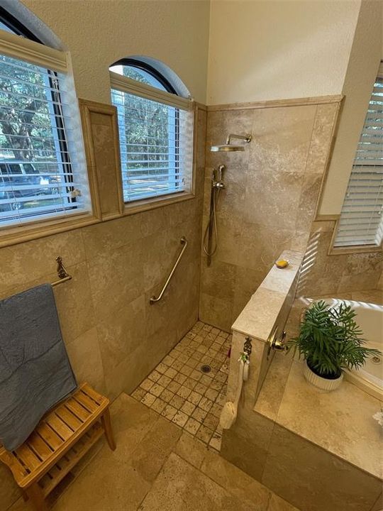 Master Bath shower