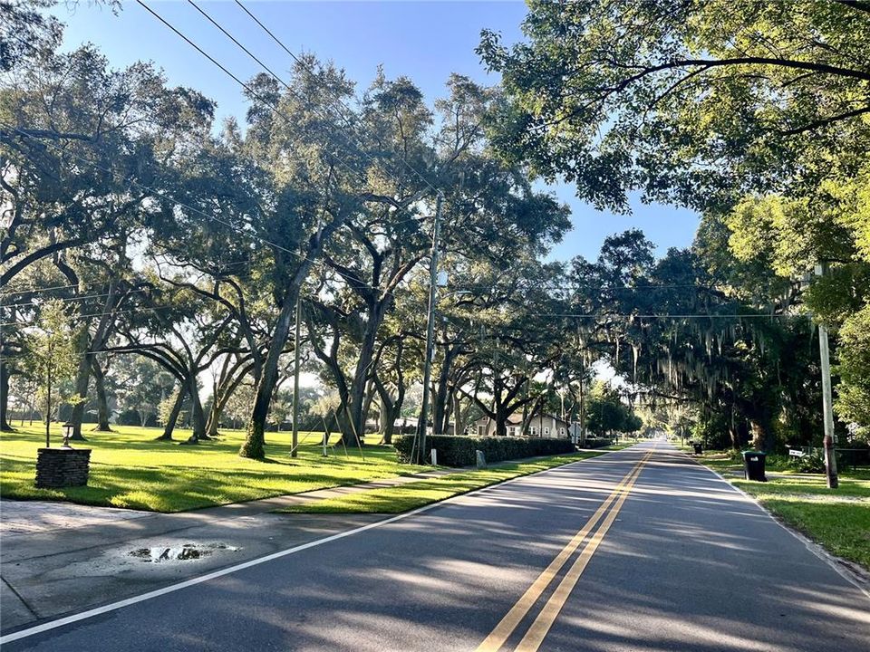 Beautiful tree-lined Belle Isle roads