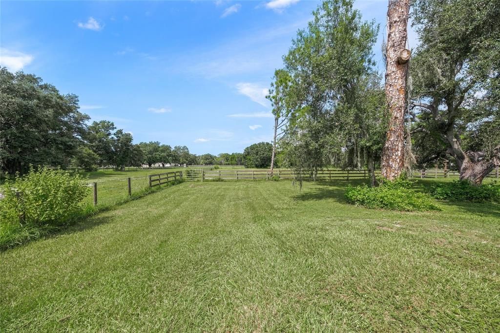 Cross fenced pastures.