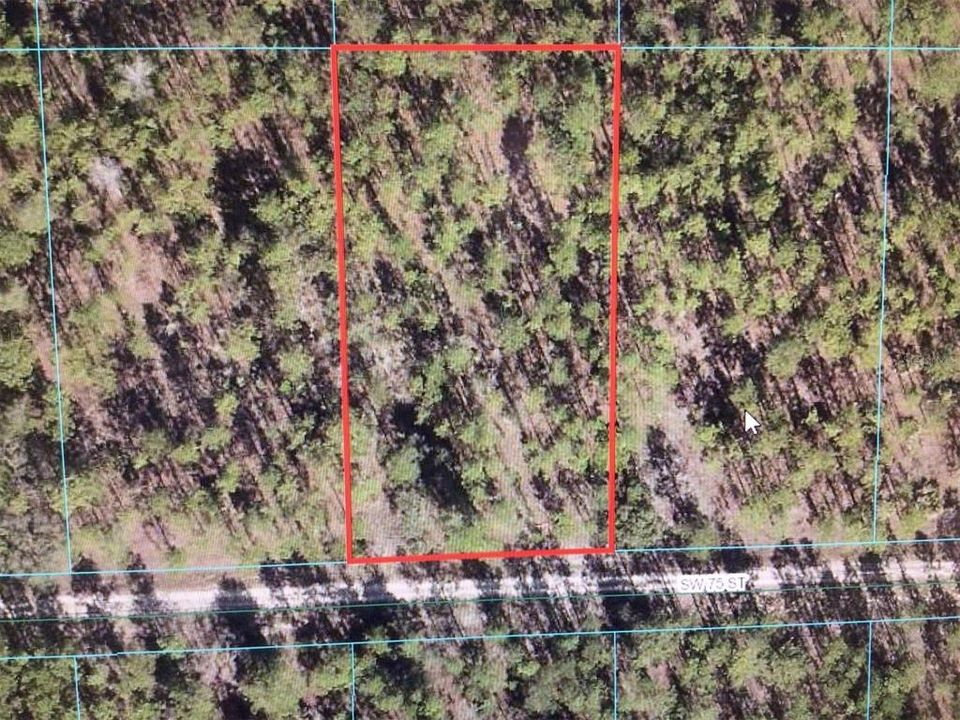 For Sale: $55,000 (1.16 acres)