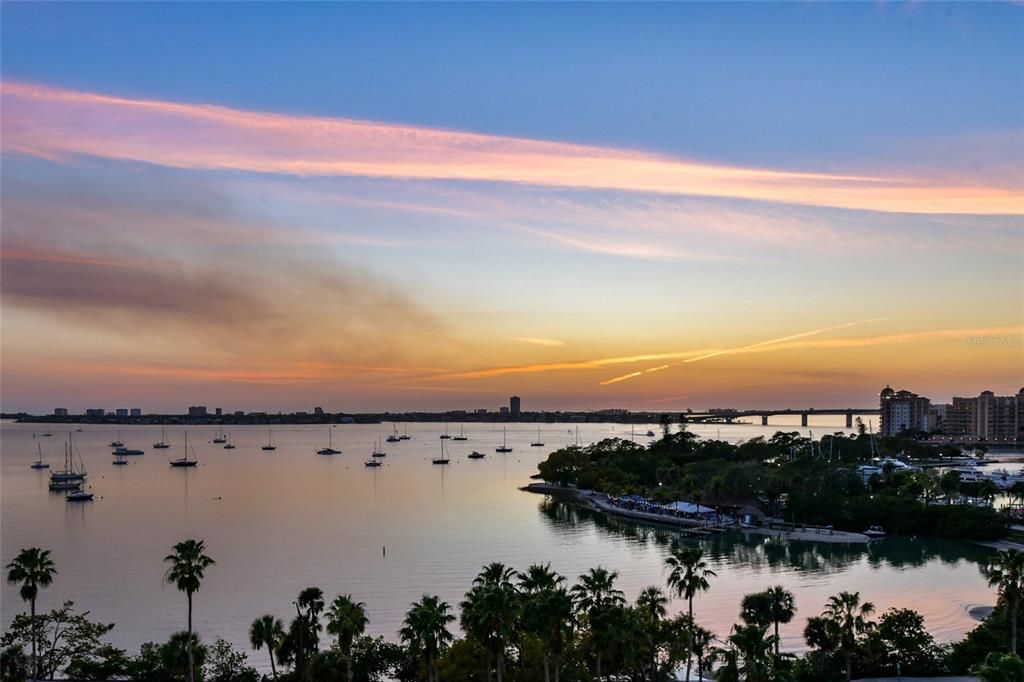 Take advantage of all the cultural & culinary options Sarasota & Bradenton have to offer.