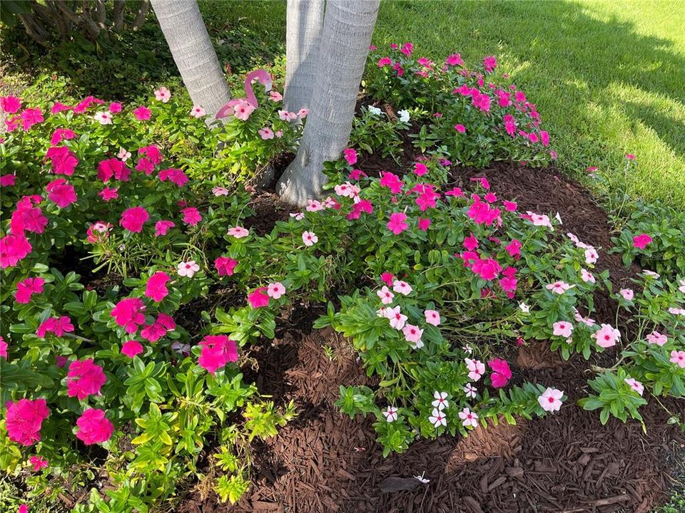 Magnificent flower beds beautify the front of The Trails home