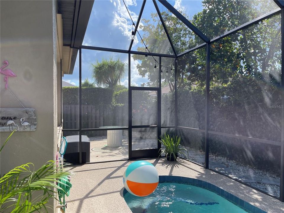 View of the backyard from the caged pool.