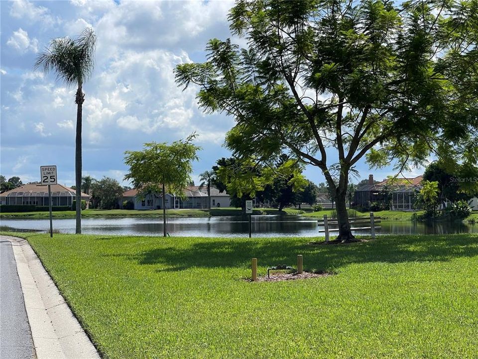 Well-maintained lakes around The Trails community.