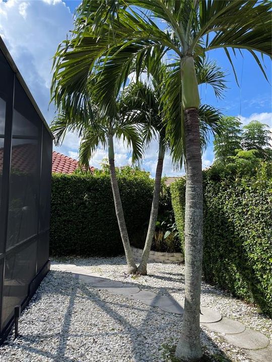 Healthy tropical landscaping all around The Trails home.