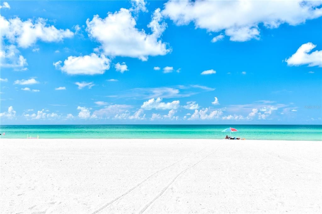 Enjoy the dreamy beach of Siesta Key