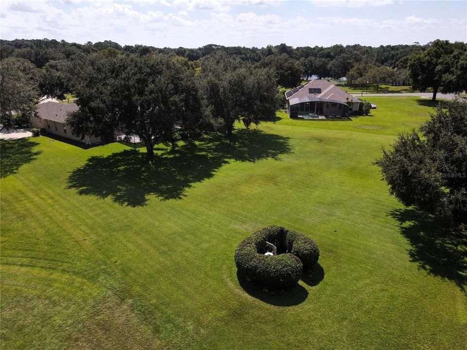 View of your backyard and well pump camouflaged inside the shrubs