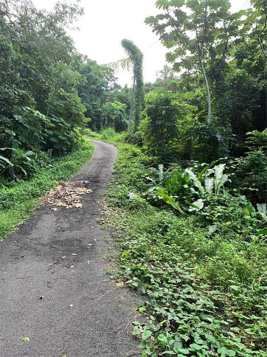 En Venta: $80,000 (0.57 acres)