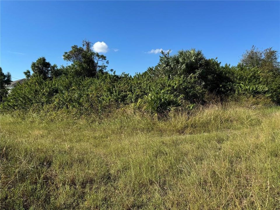 En Venta: $45,000 (0.36 acres)