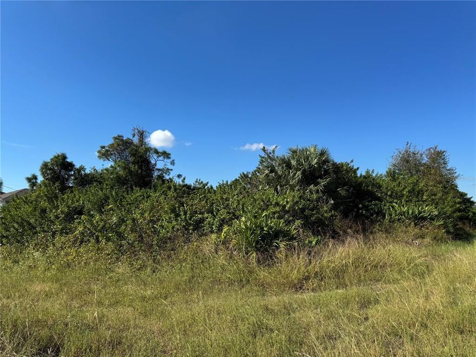 En Venta: $45,000 (0.36 acres)