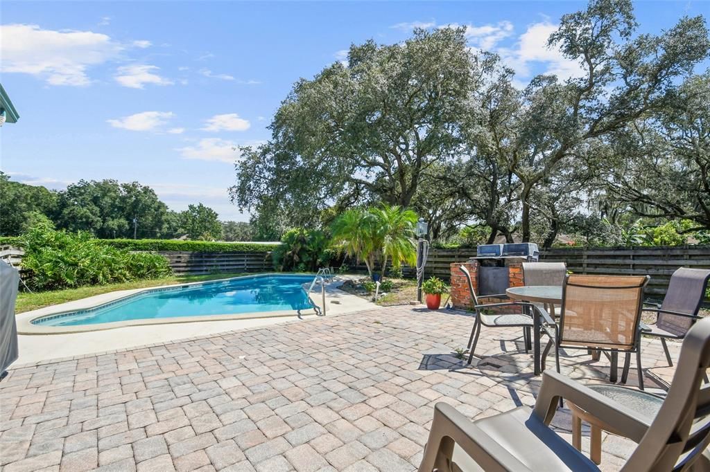 Outdoor Area and Pool