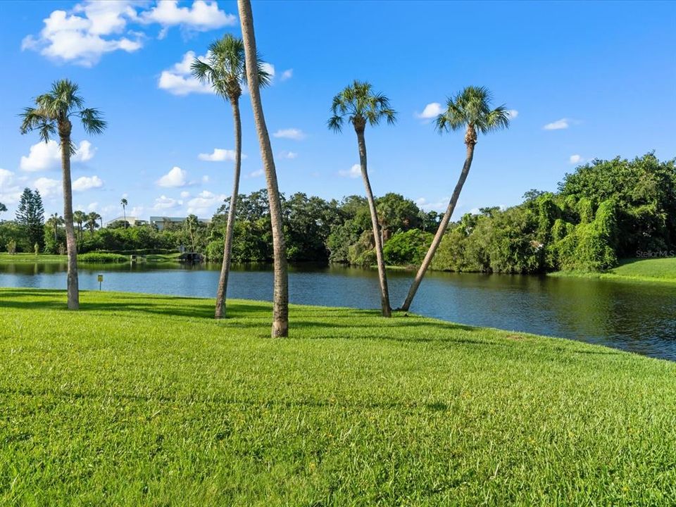 Lake view by the pool.