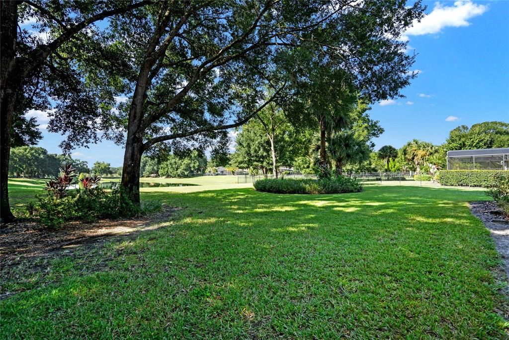 Backyard with water view