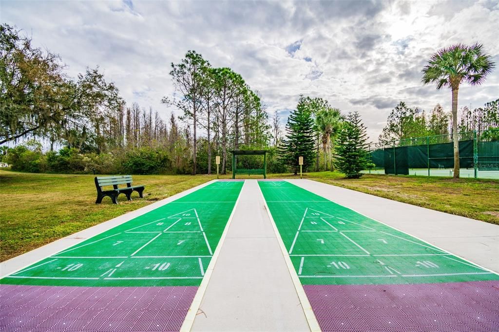 Shuffleboard