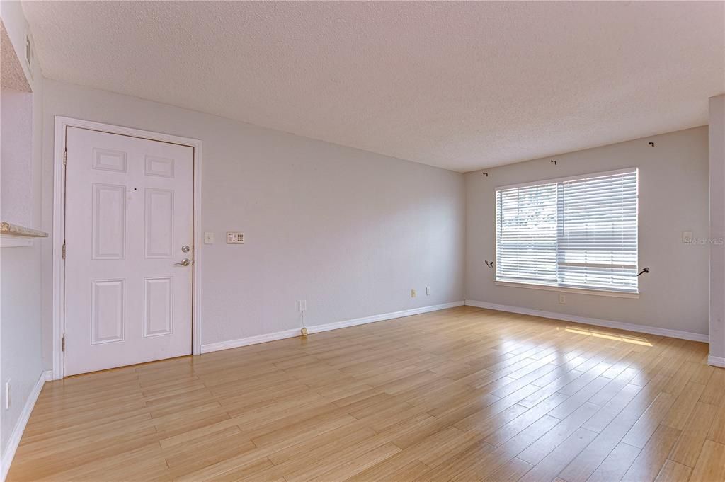 Living Room Facing Front Door