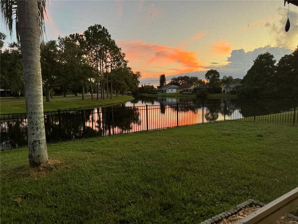 View of pond from back yard